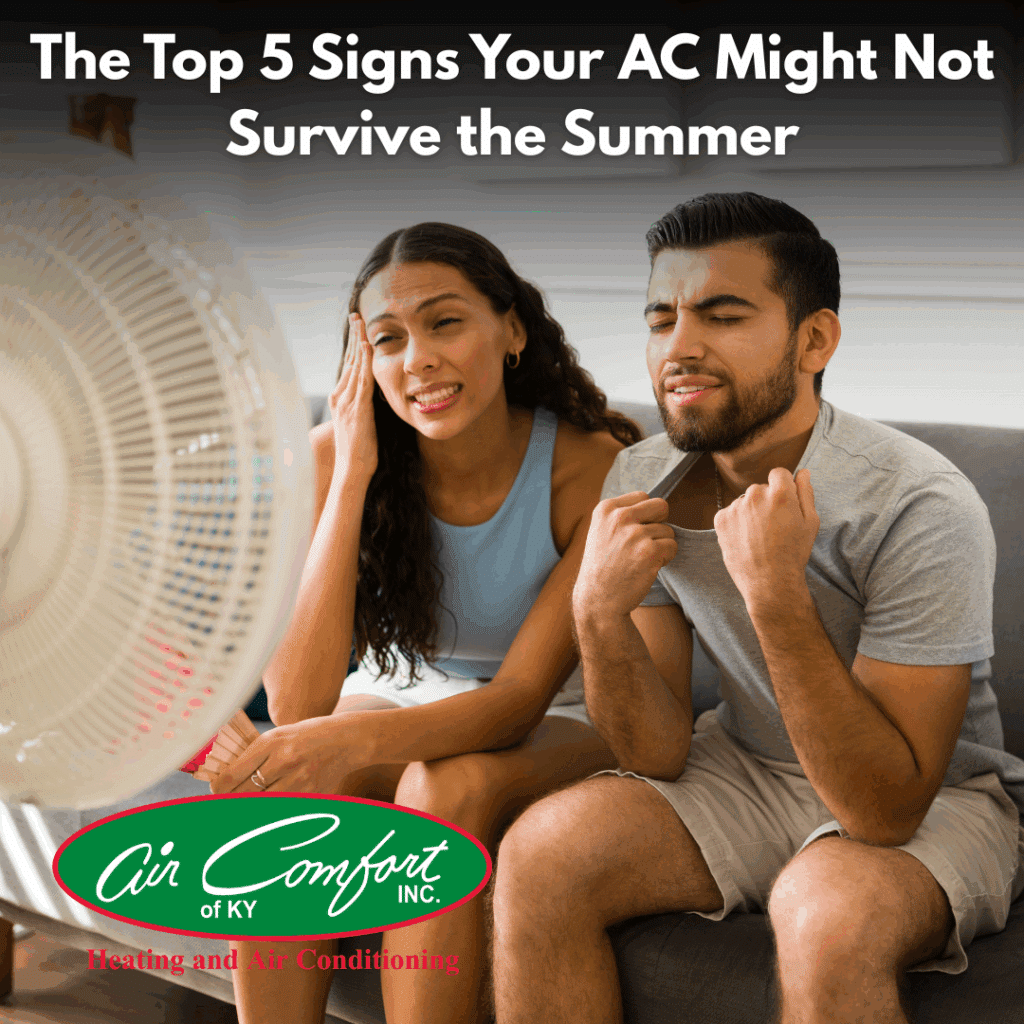 Top 5 Signs